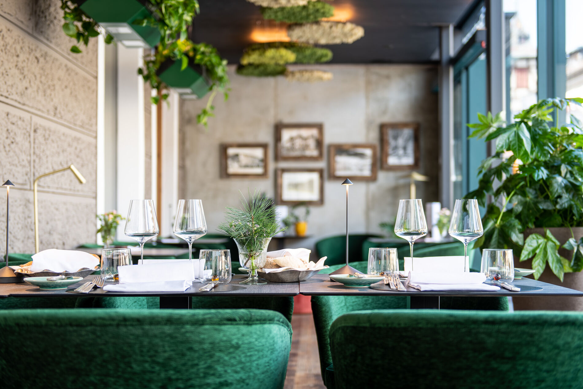 Wintergarten Hotel Adler Niederdorf Wintergarten Hotel Adler Niederdorf